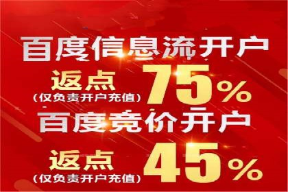 百度竞价入门必看：实操技巧与成功案例